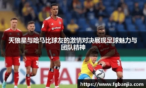 完美体育